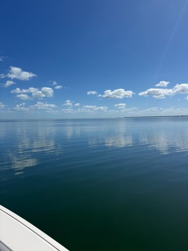 beautiful day in Biscayne Bay aboard C Turtle Fishing