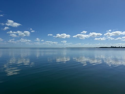 beautiful day in Biscayne Bay aboard C Turtle Fishing