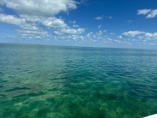 beautiful day in Biscayne Bay aboard C Turtle Fishing